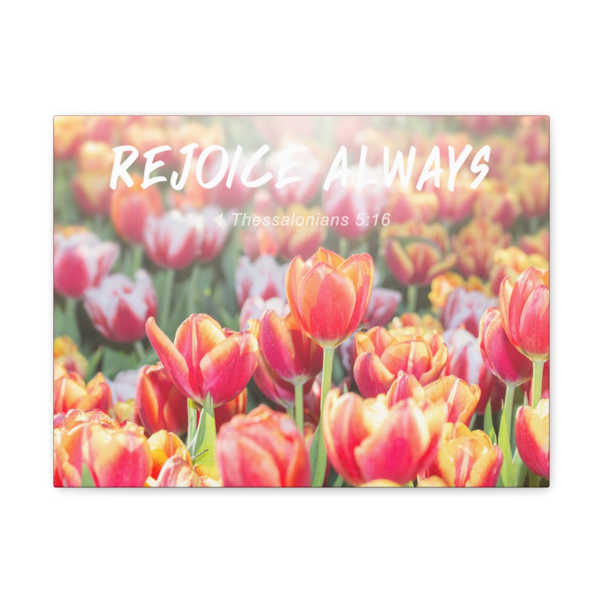 Scripture Walls Rejoice Always 1 Thessalonians 5:16 Bible Verse Canvas Christian Wall Art Bible Verse Print Ready To Hang Unframed-Express Your Love Gifts