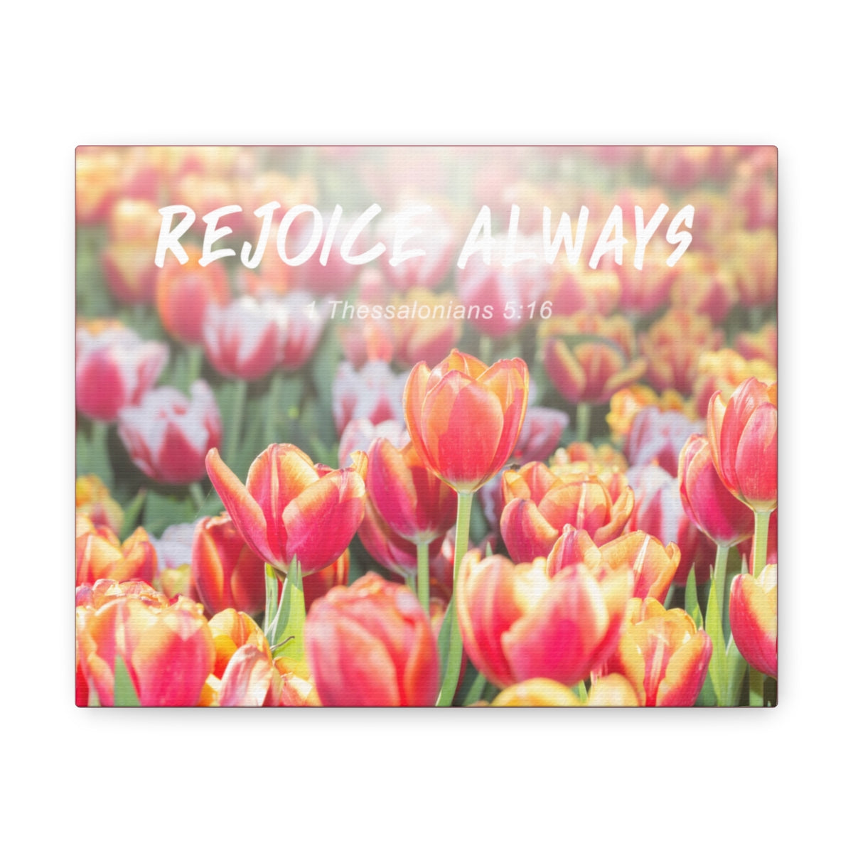 Scripture Walls Rejoice Always 1 Thessalonians 5:16 Bible Verse Canvas Christian Wall Art Bible Verse Print Ready To Hang Unframed-Express Your Love Gifts