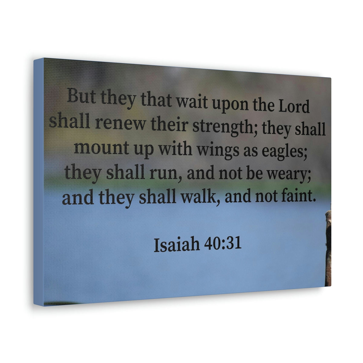 Scripture Walls Renew Their Strength Isaiah 40:31 Christian Wall Art Bible Verse Print Ready to Hang Unframed-Express Your Love Gifts