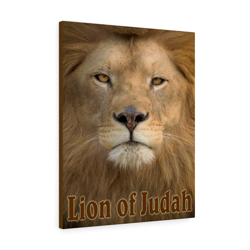 Scripture Walls Revelation 5:5 Lion of Judah Bible Verse Canvas Christian Wall Art Ready to Hang Unframed-Express Your Love Gifts