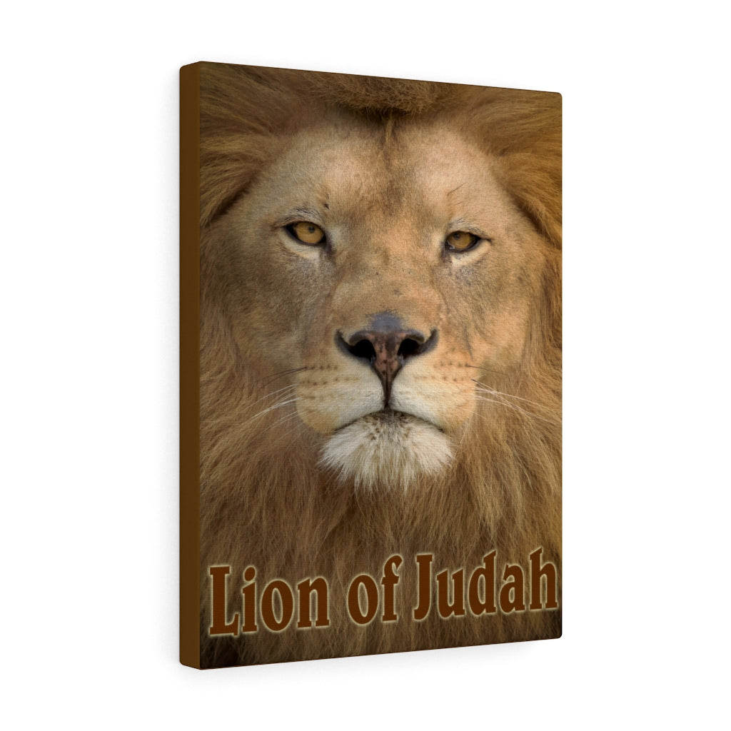 Scripture Walls Revelation 5:5 Lion of Judah Bible Verse Canvas Christian Wall Art Ready to Hang Unframed-Express Your Love Gifts
