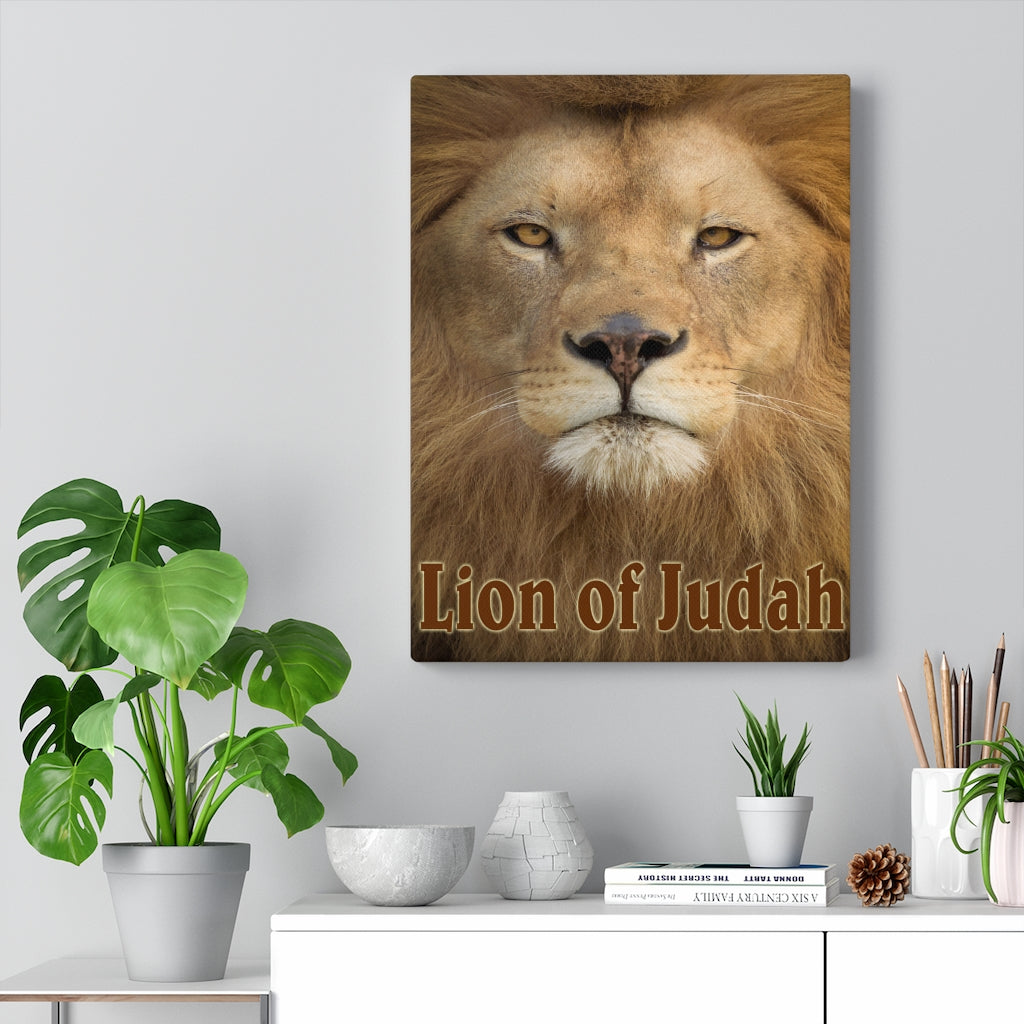 Scripture Walls Revelation 5:5 Lion of Judah Bible Verse Canvas Christian Wall Art Ready to Hang Unframed-Express Your Love Gifts