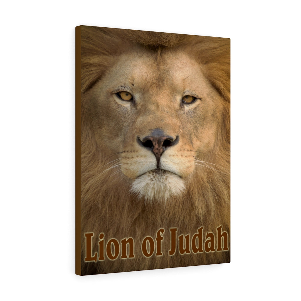 Scripture Walls Revelation 5:5 Lion of Judah Bible Verse Canvas Christian Wall Art Ready to Hang Unframed-Express Your Love Gifts