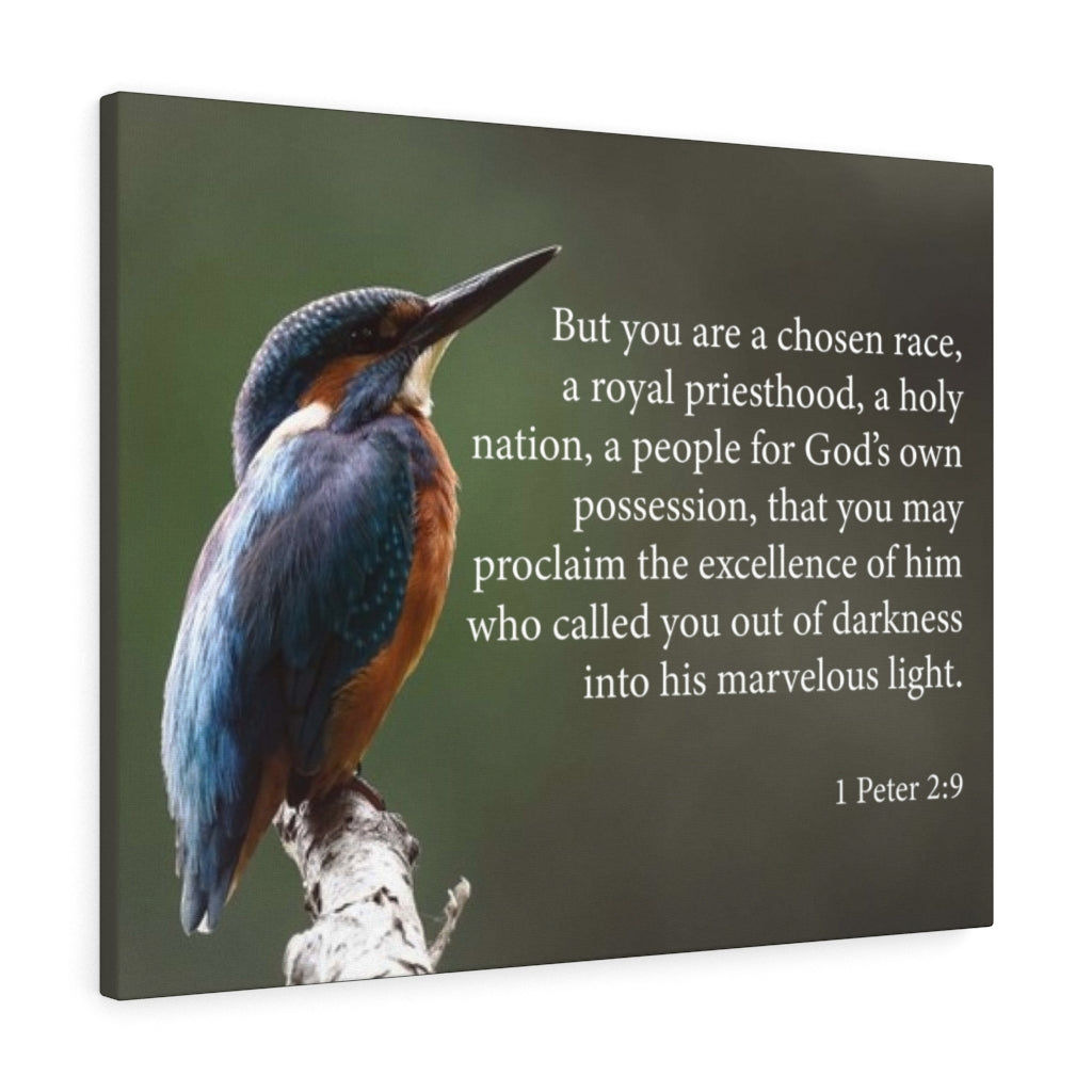 Scripture Walls Royal Priesthood 1 Peter 2:9 Bible Verse Canvas Christian Wall Art Ready to Hang Unframed-Express Your Love Gifts