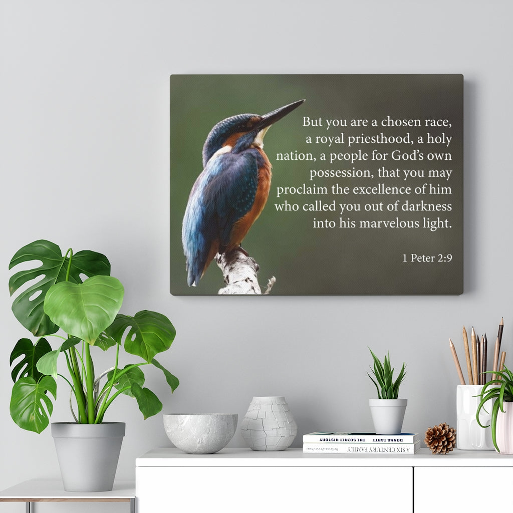 Scripture Walls Royal Priesthood 1 Peter 2:9 Bible Verse Canvas Christian Wall Art Ready to Hang Unframed-Express Your Love Gifts