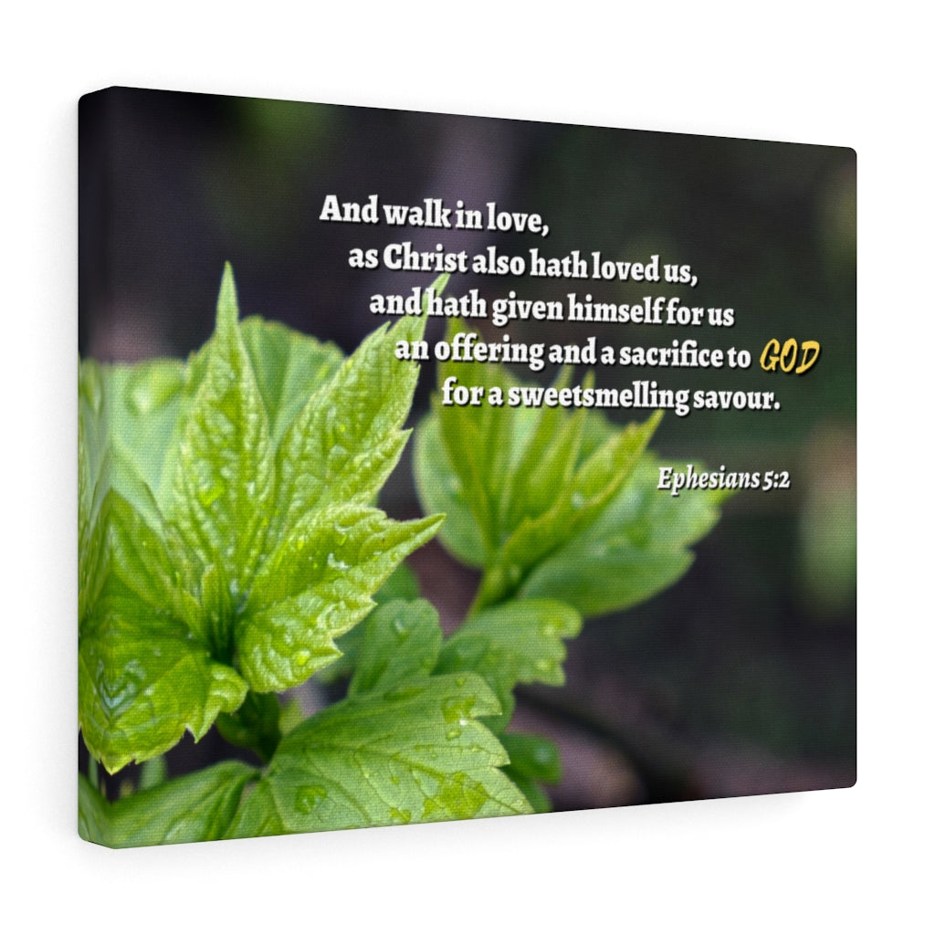 Scripture Walls Sacrifice To God Ephesians 5:2 Bible Verse Canvas Christian Wall Art Ready to Hang Unframed-Express Your Love Gifts