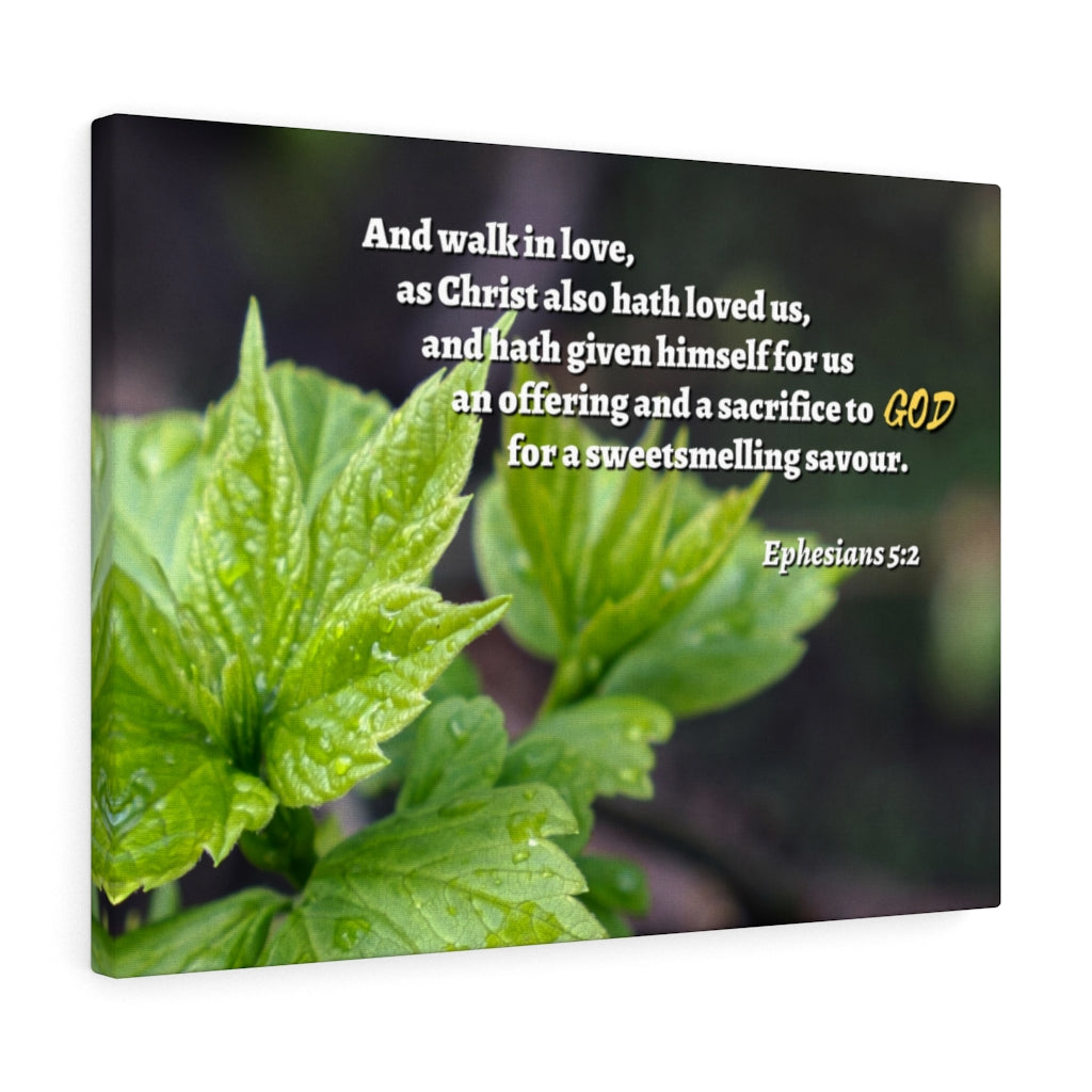 Scripture Walls Sacrifice To God Ephesians 5:2 Bible Verse Canvas Christian Wall Art Ready to Hang Unframed-Express Your Love Gifts