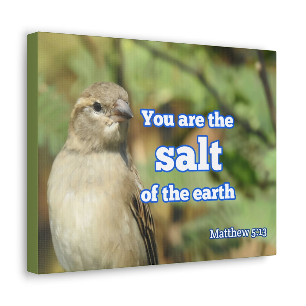 Scripture Walls Salt Of The Earth Matthew 5:13 Bible Verse Canvas Christian Wall Art Ready to Hang Unframed-Express Your Love Gifts