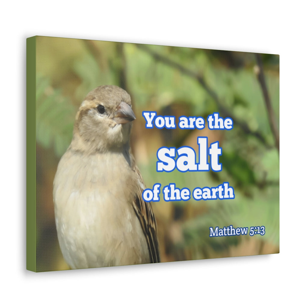 Scripture Walls Salt Of The Earth Matthew 5:13 Bible Verse Canvas Christian Wall Art Ready to Hang Unframed-Express Your Love Gifts