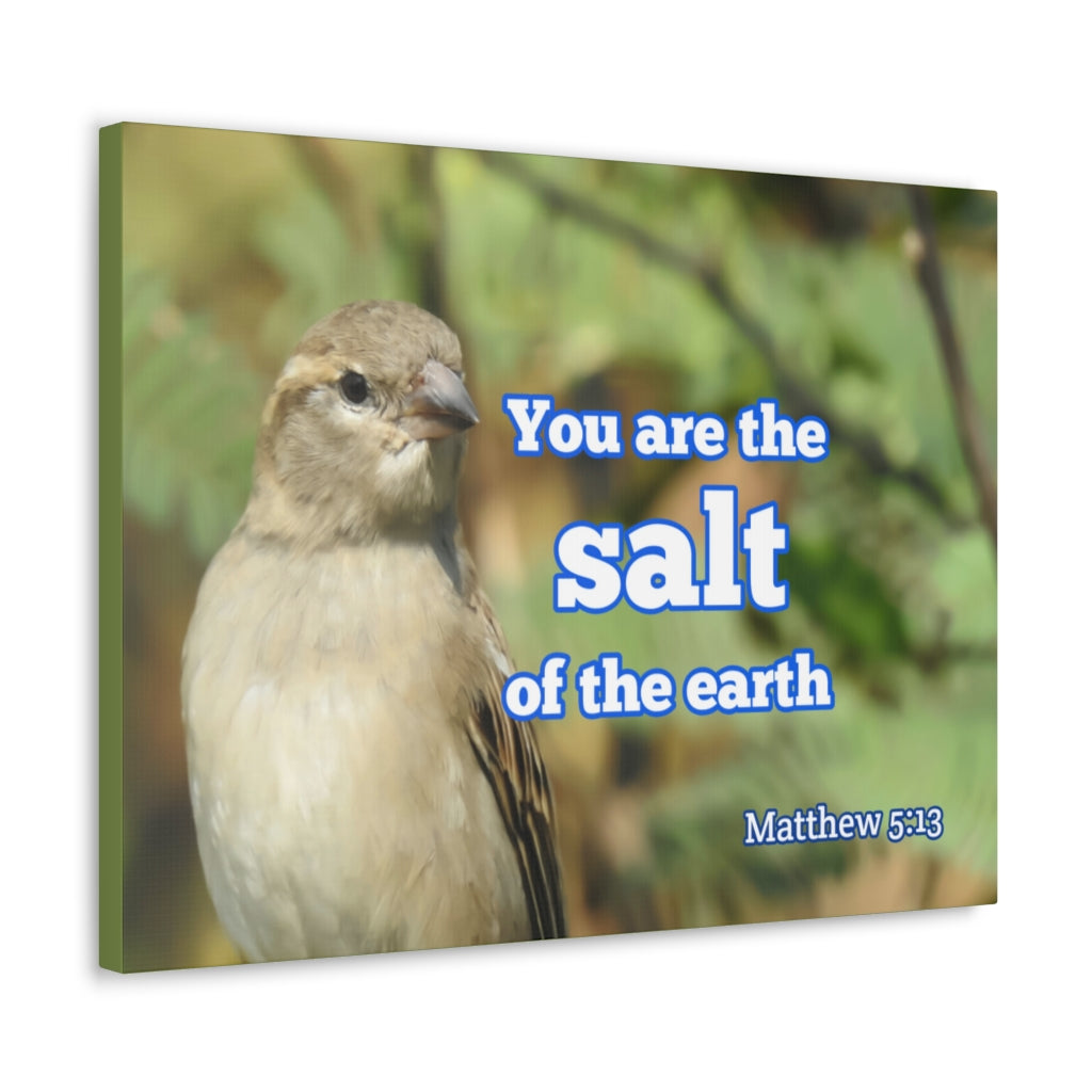 Scripture Walls Salt Of The Earth Matthew 5:13 Bible Verse Canvas Christian Wall Art Ready to Hang Unframed-Express Your Love Gifts