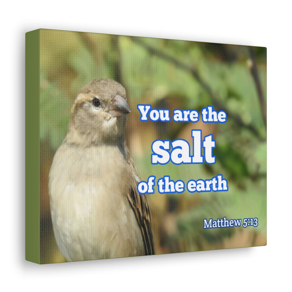 Scripture Walls Salt Of The Earth Matthew 5:13 Bible Verse Canvas Christian Wall Art Ready to Hang Unframed-Express Your Love Gifts