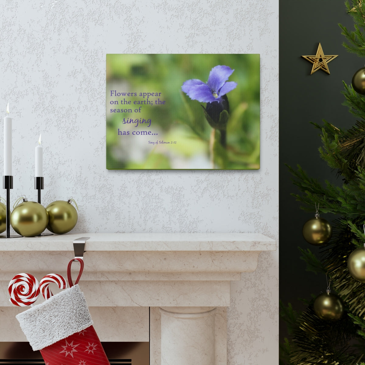 Scripture Walls Season Of Singing Song Of Solomon 2:12 Bible Verse Canvas Christian Wall Art Bible Verse Print Ready To Hang Unframed-Express Your Love Gifts