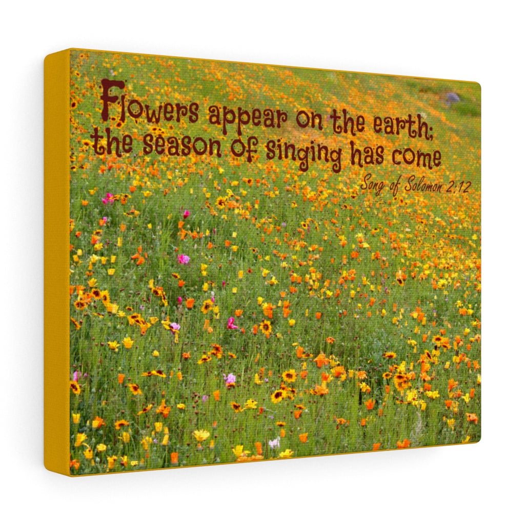 Scripture Walls Season Of Singing Song Of Solomon 2:12 Bible Verse Canvas Christian Wall Art Ready to Hang Unframed-Express Your Love Gifts