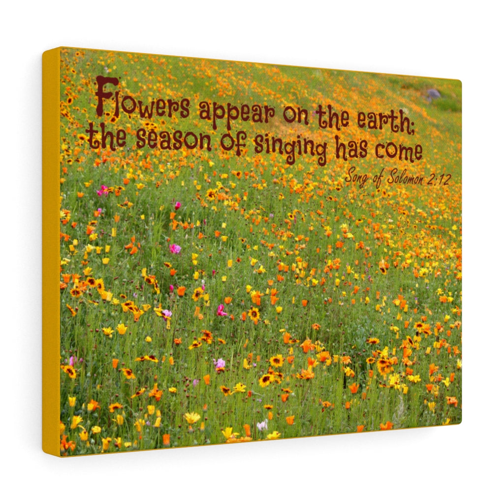 Scripture Walls Season Of Singing Song Of Solomon 2:12 Bible Verse Canvas Christian Wall Art Ready to Hang Unframed-Express Your Love Gifts