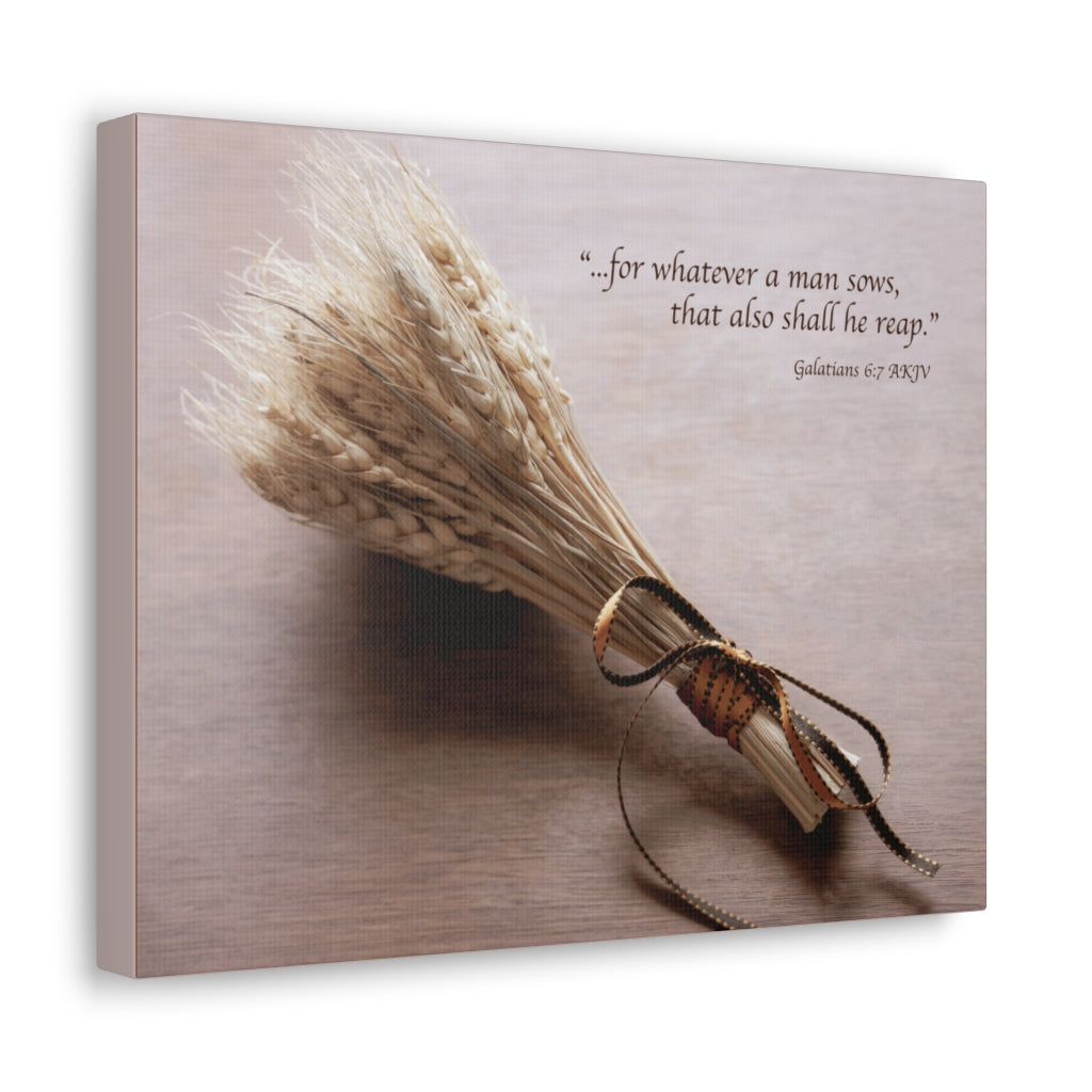 Scripture Walls Shall He Reap Galatians 6:7 Bible Verse Canvas Christian Wall Art Ready to Hang Unframed-Express Your Love Gifts