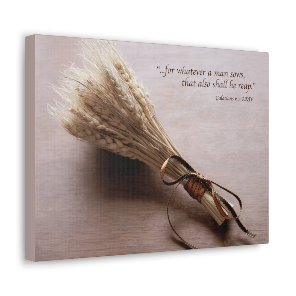Scripture Walls Shall He Reap Galatians 6:7 Bible Verse Canvas Christian Wall Art Ready to Hang Unframed-Express Your Love Gifts