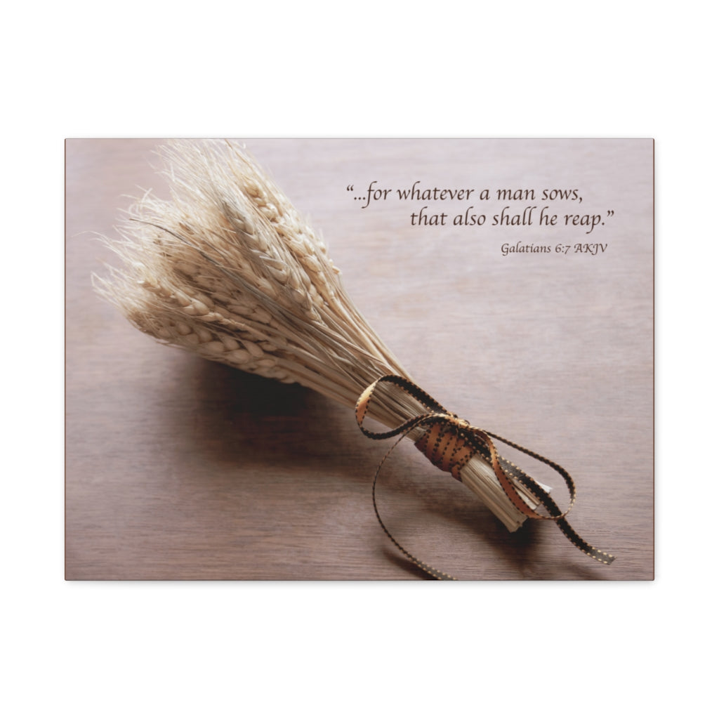 Scripture Walls Shall He Reap Galatians 6:7 Bible Verse Canvas Christian Wall Art Ready to Hang Unframed-Express Your Love Gifts