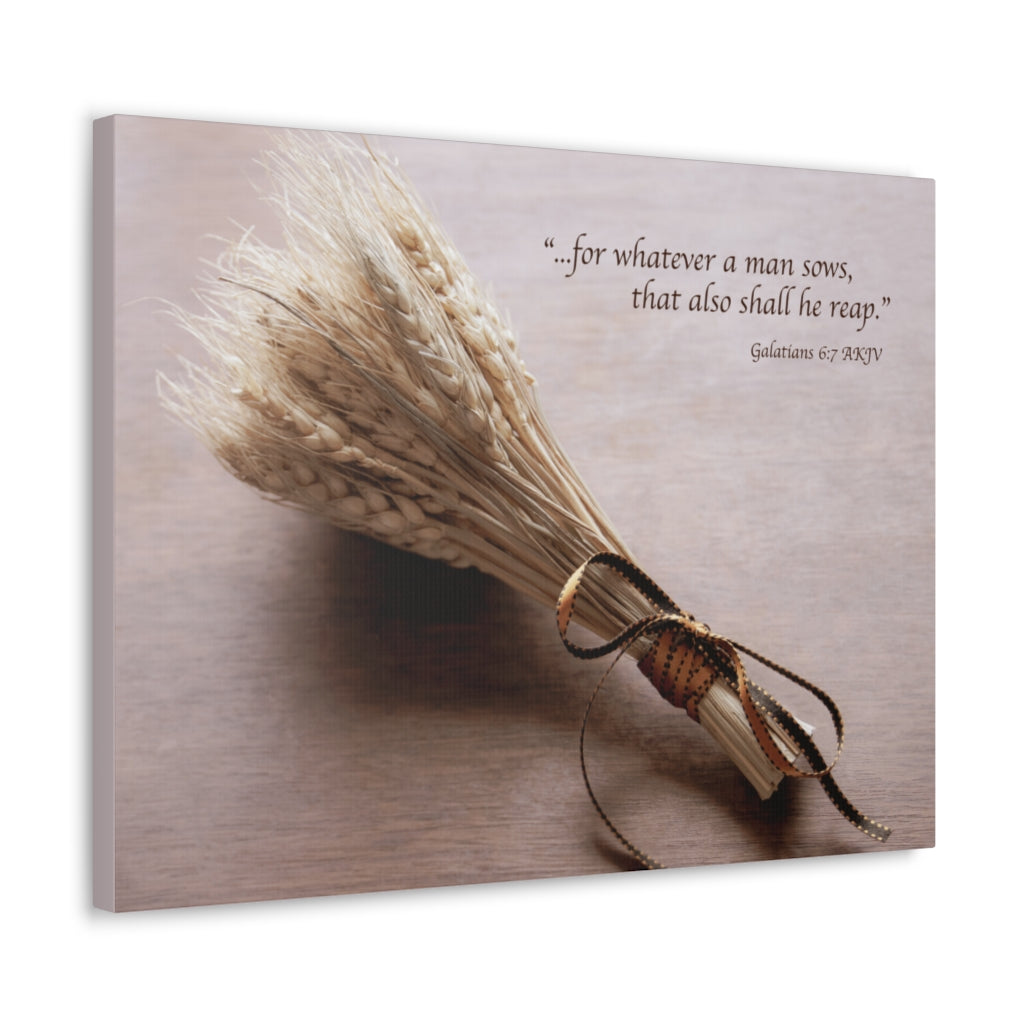 Scripture Walls Shall He Reap Galatians 6:7 Bible Verse Canvas Christian Wall Art Ready to Hang Unframed-Express Your Love Gifts