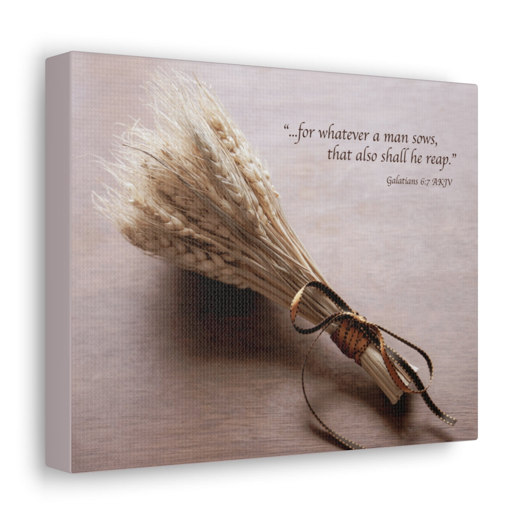 Scripture Walls Shall He Reap Galatians 6:7 Bible Verse Canvas Christian Wall Art Ready to Hang Unframed-Express Your Love Gifts