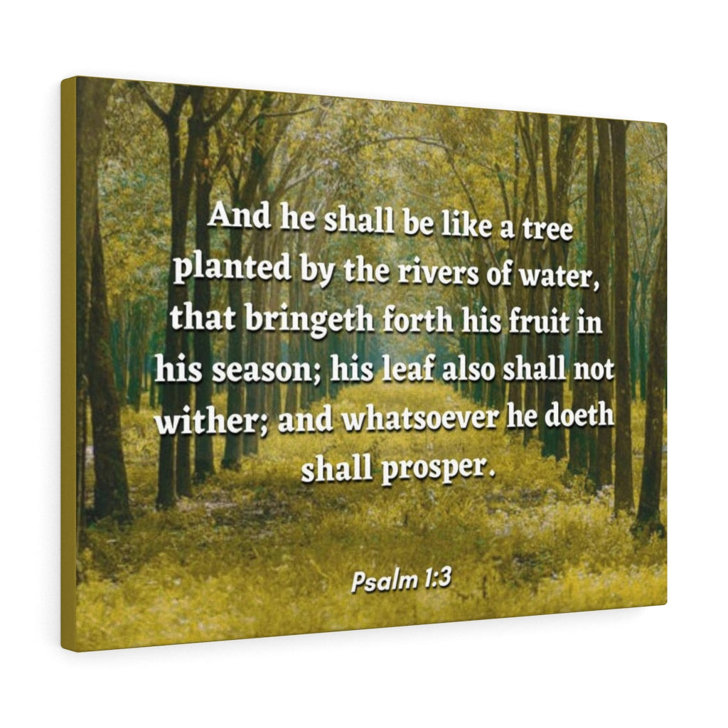 Scripture Walls Shall Prosper Psalms 1:3 Bible Verse Canvas Christian Wall Art Ready to Hang Unframed-Express Your Love Gifts
