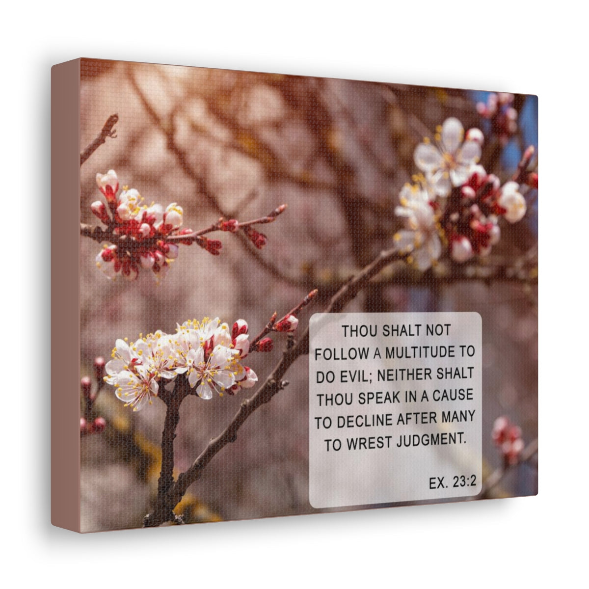 Scripture Walls Shalt Not Follow Exodus 23:2 Bible Verse Canvas Christian Wall Art Bible Verse Print Ready To Hang Unframed-Express Your Love Gifts