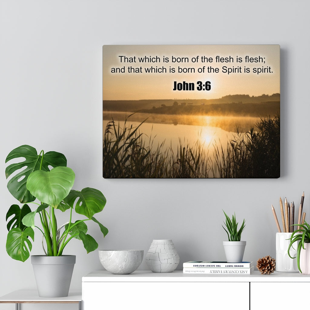 Scripture Walls Spirit is Spirit John 3:6 Bible Verse Canvas Christian Wall Art Ready to Hang Unframed-Express Your Love Gifts
