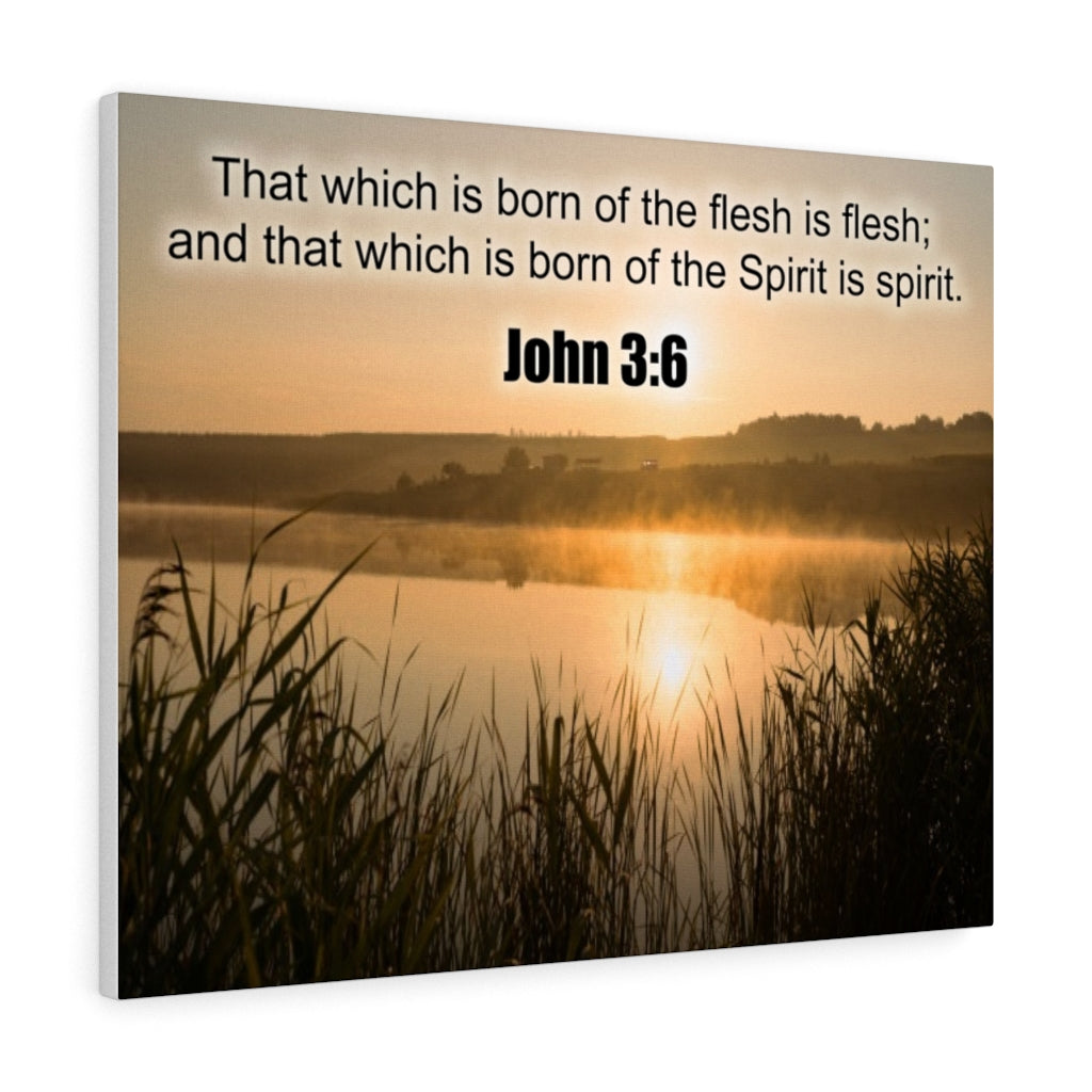 Scripture Walls Spirit is Spirit John 3:6 Bible Verse Canvas Christian Wall Art Ready to Hang Unframed-Express Your Love Gifts