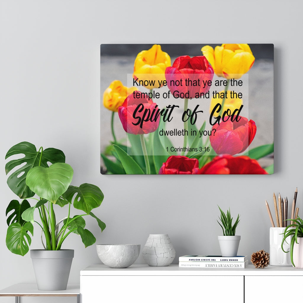 Scripture Walls Spirit of God 1 Corinthians 3:16 Christian Wall Art Print Ready to Hang Unframed-Express Your Love Gifts