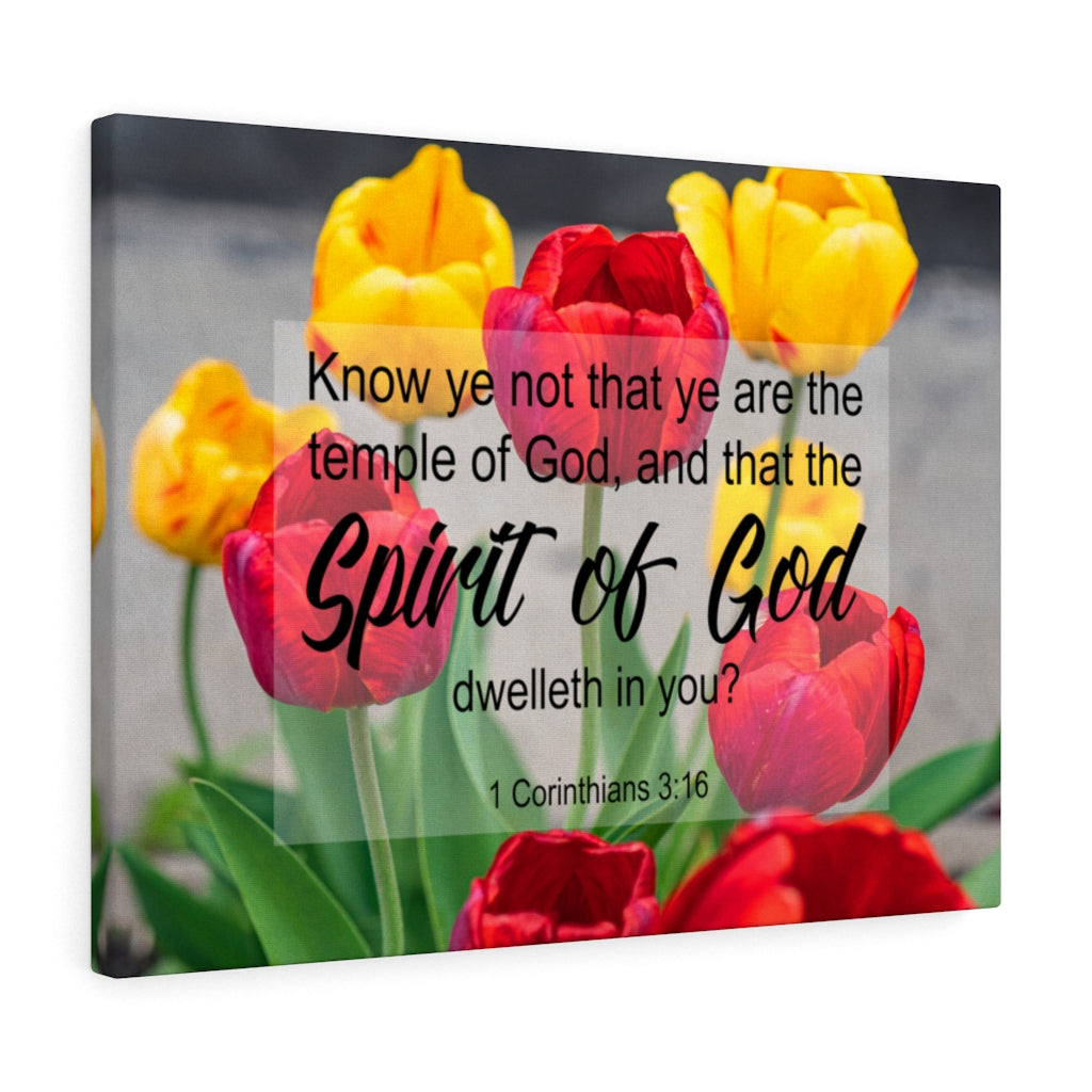 Scripture Walls Spirit of God 1 Corinthians 3:16 Christian Wall Art Print Ready to Hang Unframed-Express Your Love Gifts