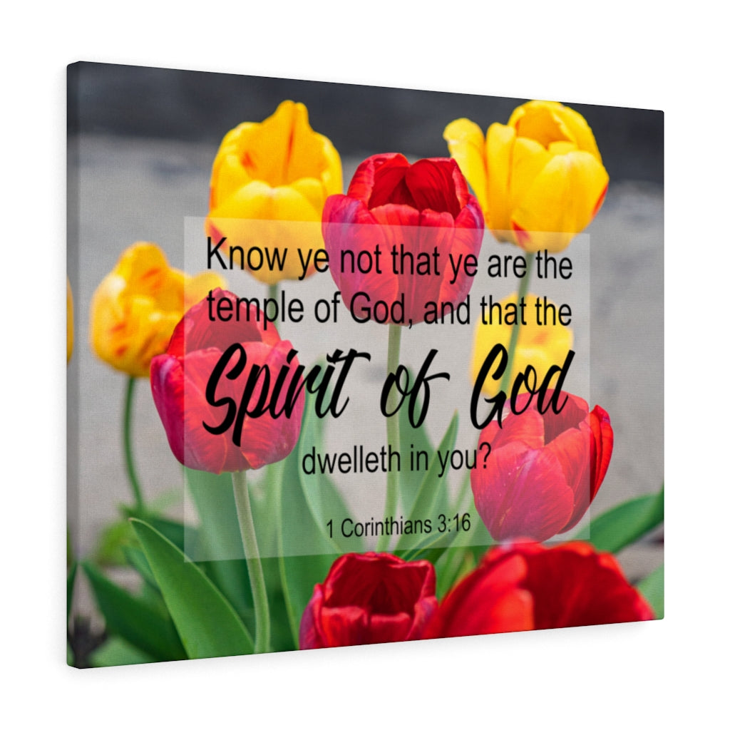 Scripture Walls Spirit of God 1 Corinthians 3:16 Christian Wall Art Print Ready to Hang Unframed-Express Your Love Gifts