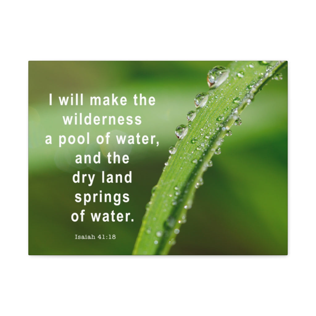 Scripture Walls Springs Of Water Isaiah 41:18 Bible Verse Canvas Christian Wall Art Ready to Hang Unframed-Express Your Love Gifts