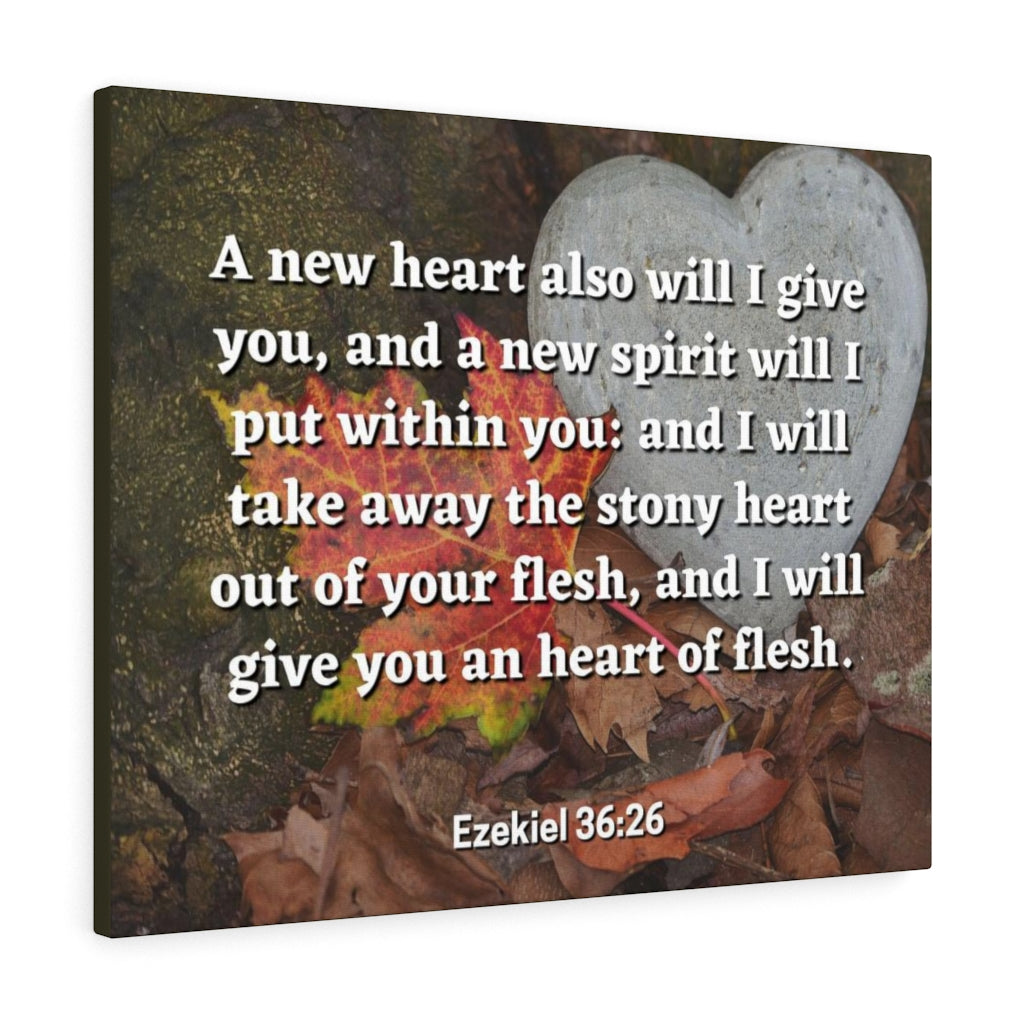 Scripture Walls Stony Heart Ezekiel 36:26 Bible Verse Canvas Christian Wall Art Ready to Hang Unframed-Express Your Love Gifts