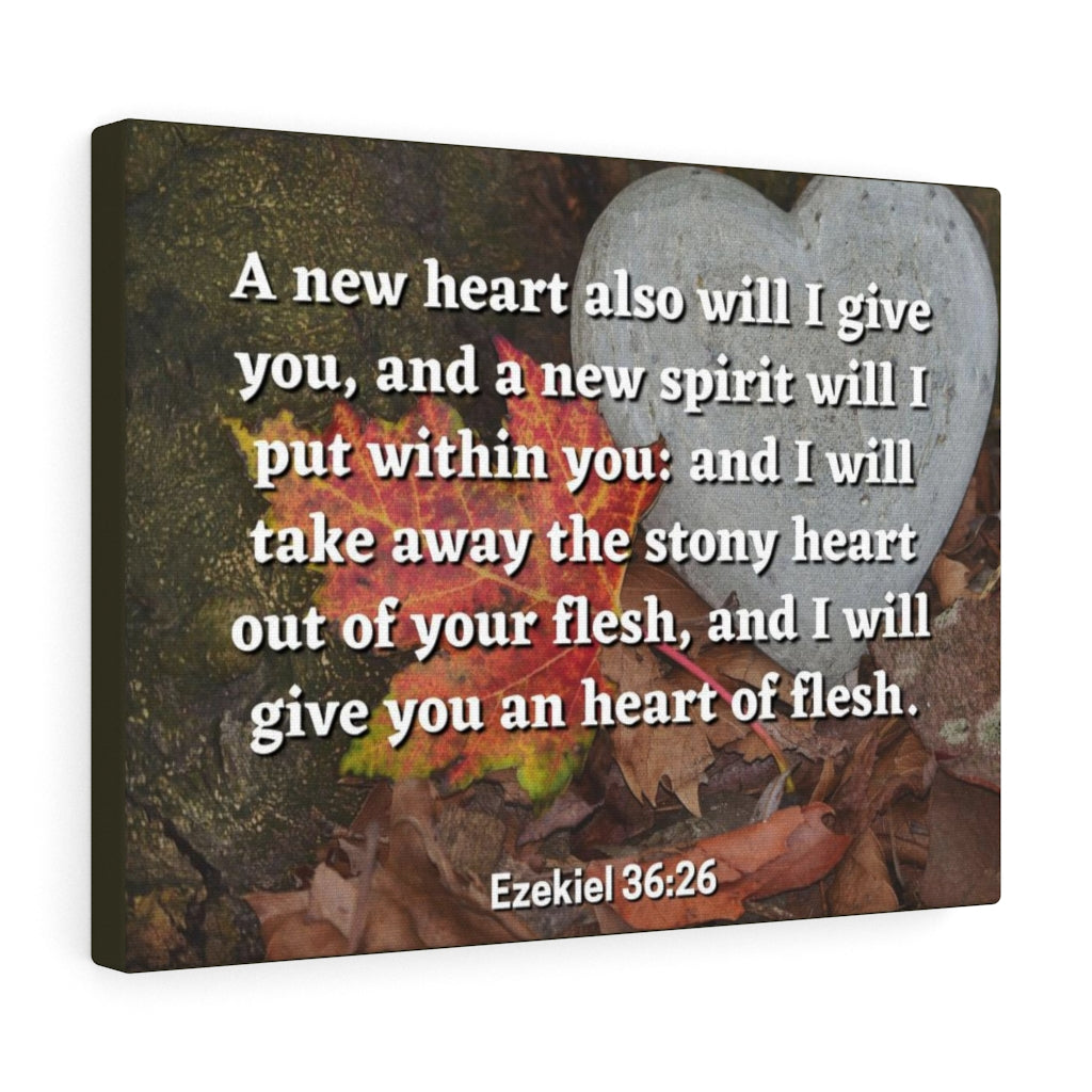 Scripture Walls Stony Heart Ezekiel 36:26 Bible Verse Canvas Christian Wall Art Ready to Hang Unframed-Express Your Love Gifts