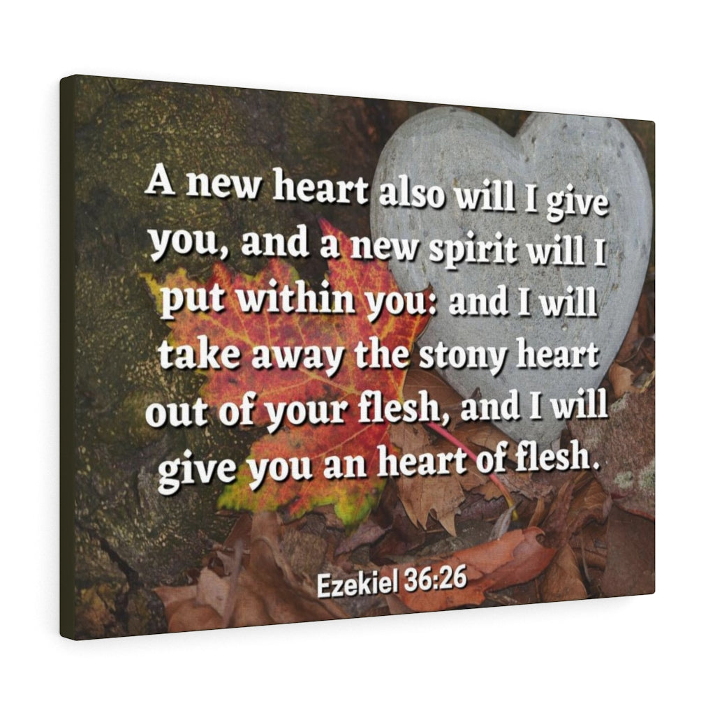 Scripture Walls Stony Heart Ezekiel 36:26 Bible Verse Canvas Christian Wall Art Ready to Hang Unframed-Express Your Love Gifts
