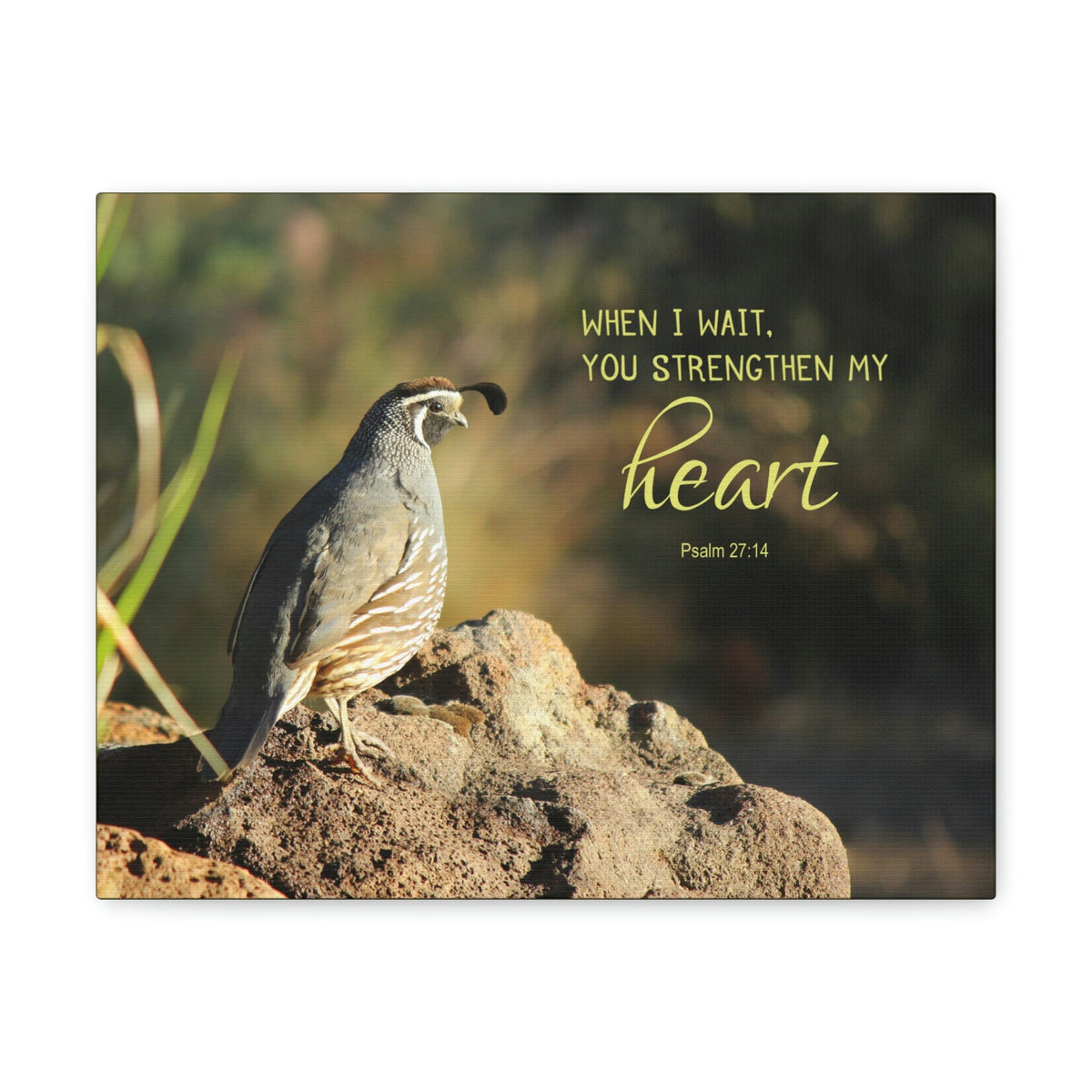 Scripture Walls Strengthen My Heart Psalm 27:14 Bird Bible Verse Canvas Christian Wall Art Ready to Hang Unframed-Express Your Love Gifts