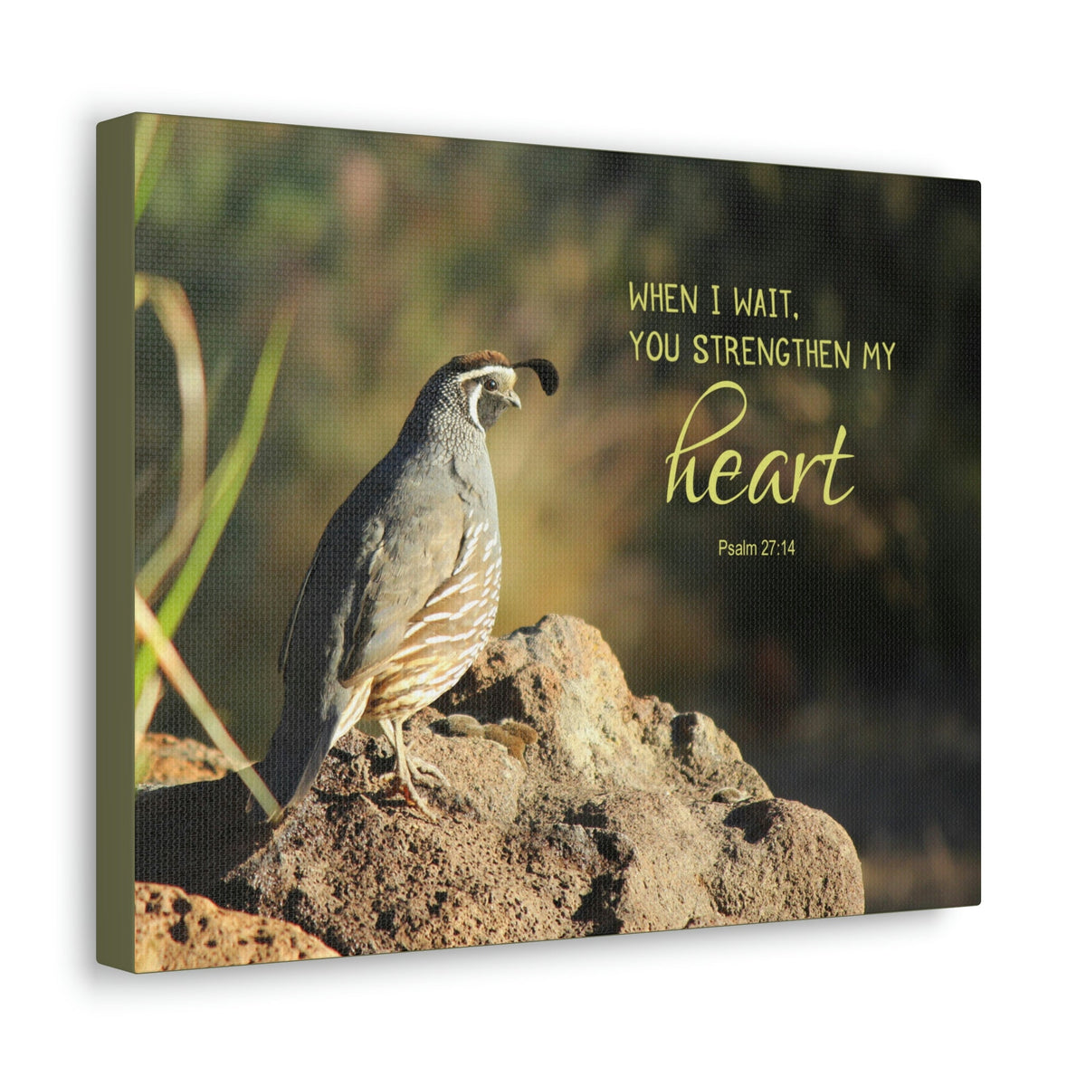 Scripture Walls Strengthen My Heart Psalm 27:14 Bird Bible Verse Canvas Christian Wall Art Ready to Hang Unframed-Express Your Love Gifts