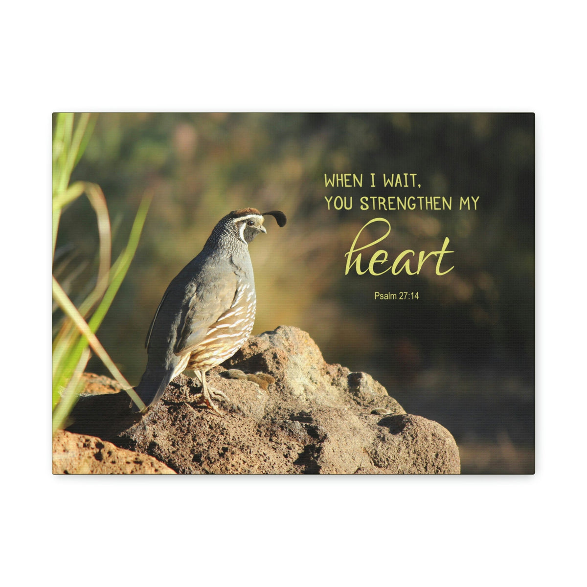 Scripture Walls Strengthen My Heart Psalm 27:14 Bird Bible Verse Canvas Christian Wall Art Ready to Hang Unframed-Express Your Love Gifts