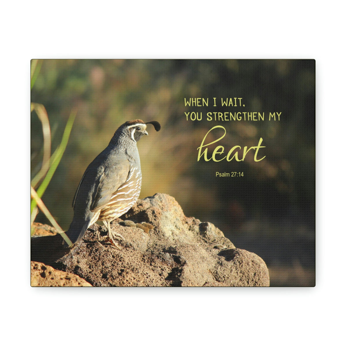Scripture Walls Strengthen My Heart Psalm 27:14 Bird Bible Verse Canvas Christian Wall Art Ready to Hang Unframed-Express Your Love Gifts