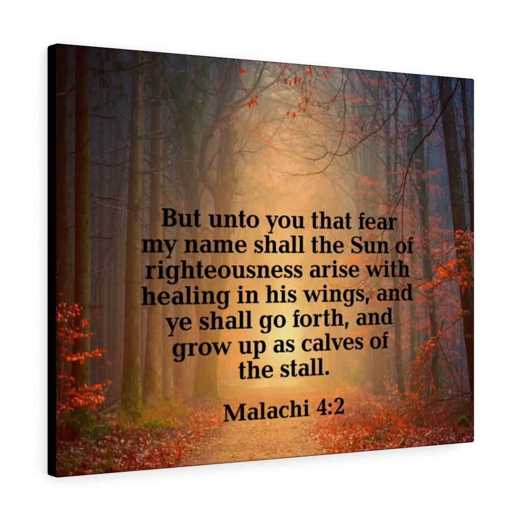 Scripture Walls Sun of Righteousness Malachi 4:2 Wall Art Christian Home Decor Unframed-Express Your Love Gifts
