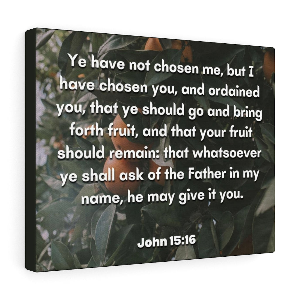 Scripture Walls The Father John 15:16 Bible Verse Canvas Christian Wall Art Ready to Hang Unframed-Express Your Love Gifts