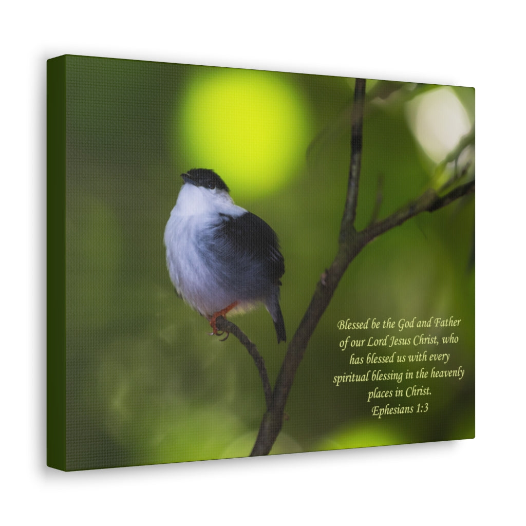 Scripture Walls The God And The Father Ephesians 1:3 Bible Verse Canvas Christian Wall Art Ready to Hang Unframed-Express Your Love Gifts