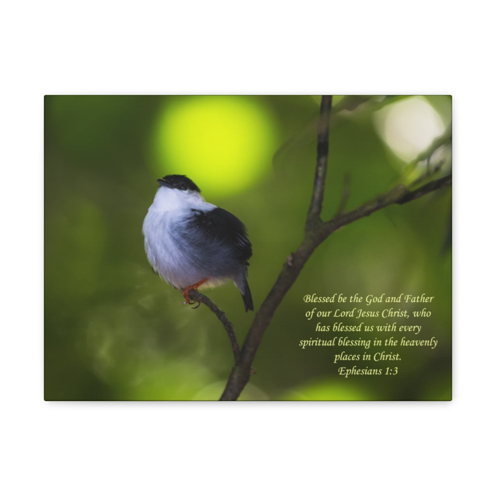 Scripture Walls The God And The Father Ephesians 1:3 Bible Verse Canvas Christian Wall Art Ready to Hang Unframed-Express Your Love Gifts