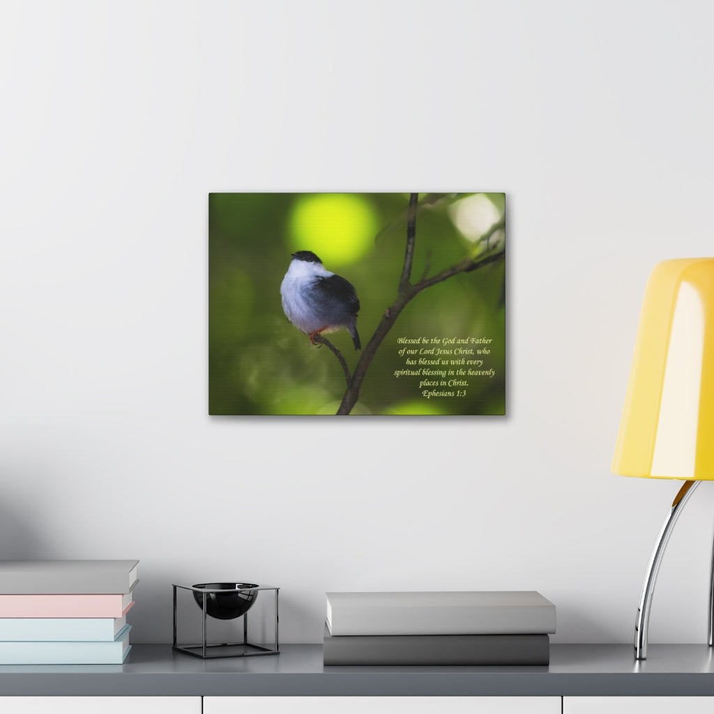 Scripture Walls The God And The Father Ephesians 1:3 Bible Verse Canvas Christian Wall Art Ready to Hang Unframed-Express Your Love Gifts