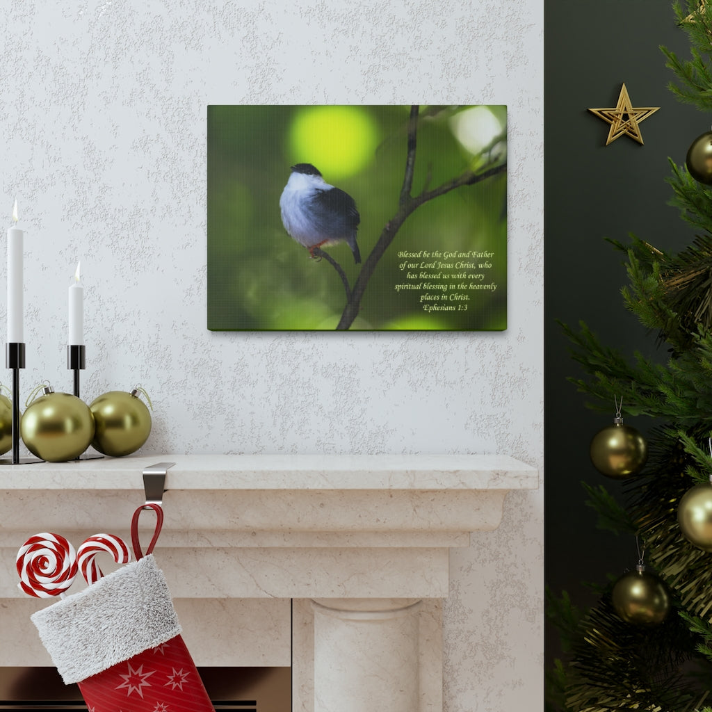 Scripture Walls The God And The Father Ephesians 1:3 Bible Verse Canvas Christian Wall Art Ready to Hang Unframed-Express Your Love Gifts