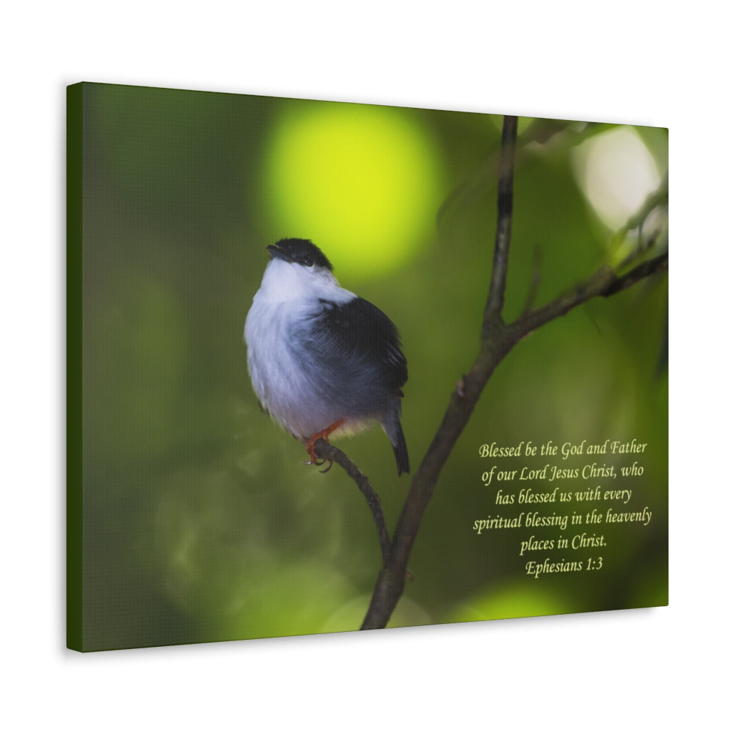 Scripture Walls The God And The Father Ephesians 1:3 Bible Verse Canvas Christian Wall Art Ready to Hang Unframed-Express Your Love Gifts