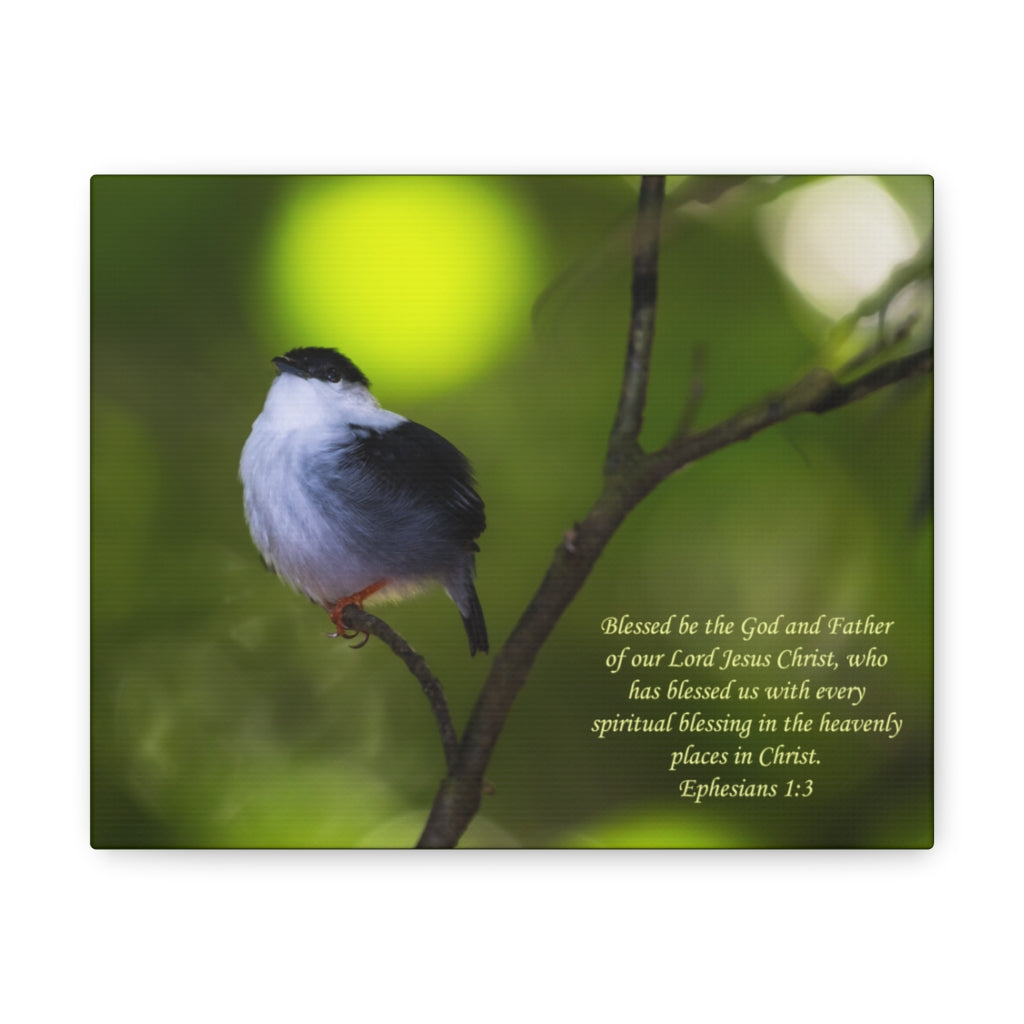 Scripture Walls The God And The Father Ephesians 1:3 Bible Verse Canvas Christian Wall Art Ready to Hang Unframed-Express Your Love Gifts