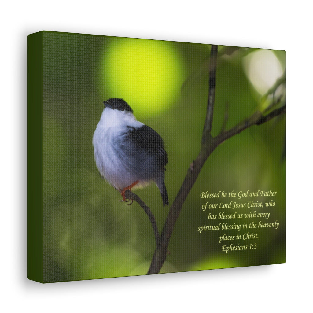 Scripture Walls The God And The Father Ephesians 1:3 Bible Verse Canvas Christian Wall Art Ready to Hang Unframed-Express Your Love Gifts