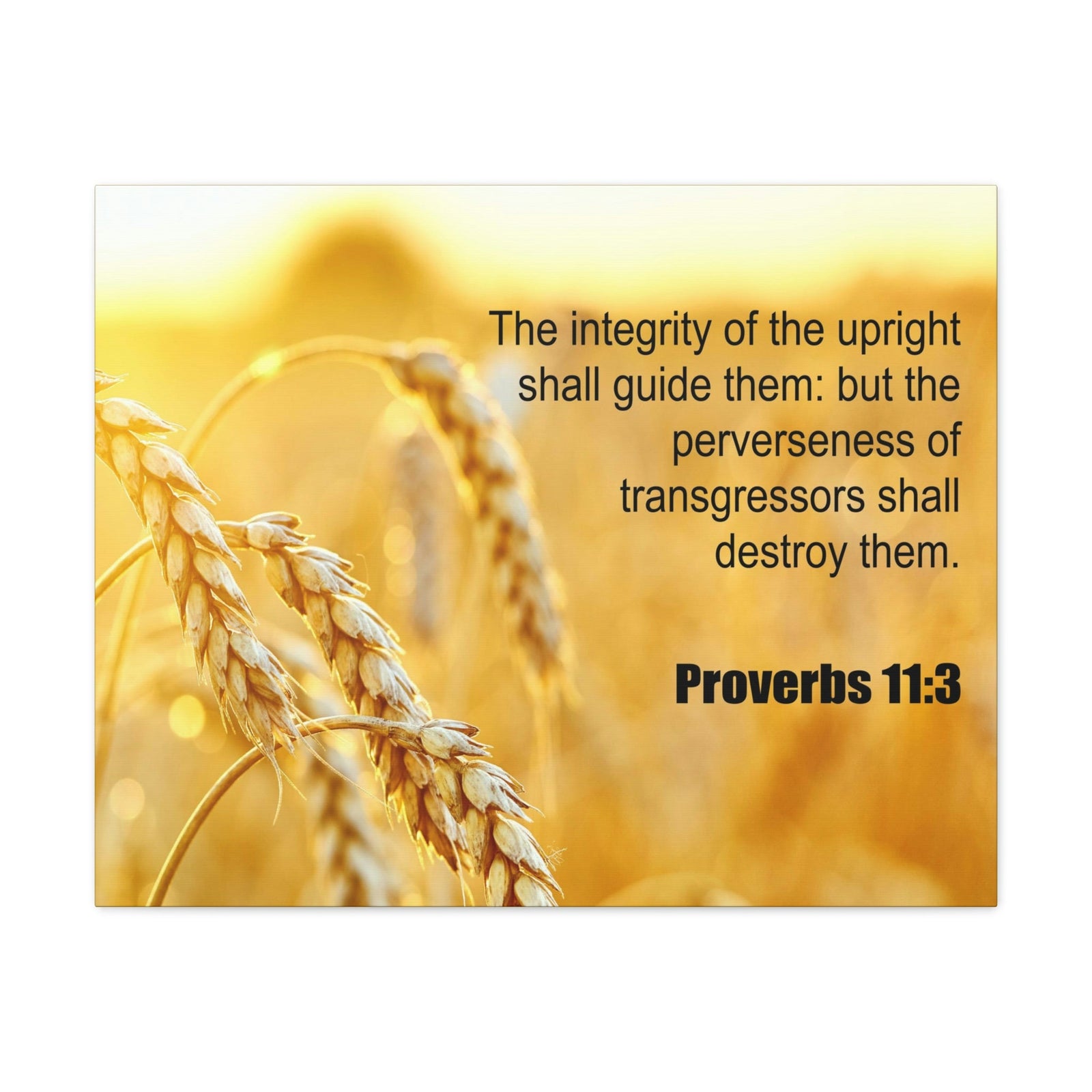 Scripture Walls The Integrity of The Upright Proverbs 11:3 Bible Verse Canvas Christian Wall Art Ready to Hang Unframed-Express Your Love Gifts