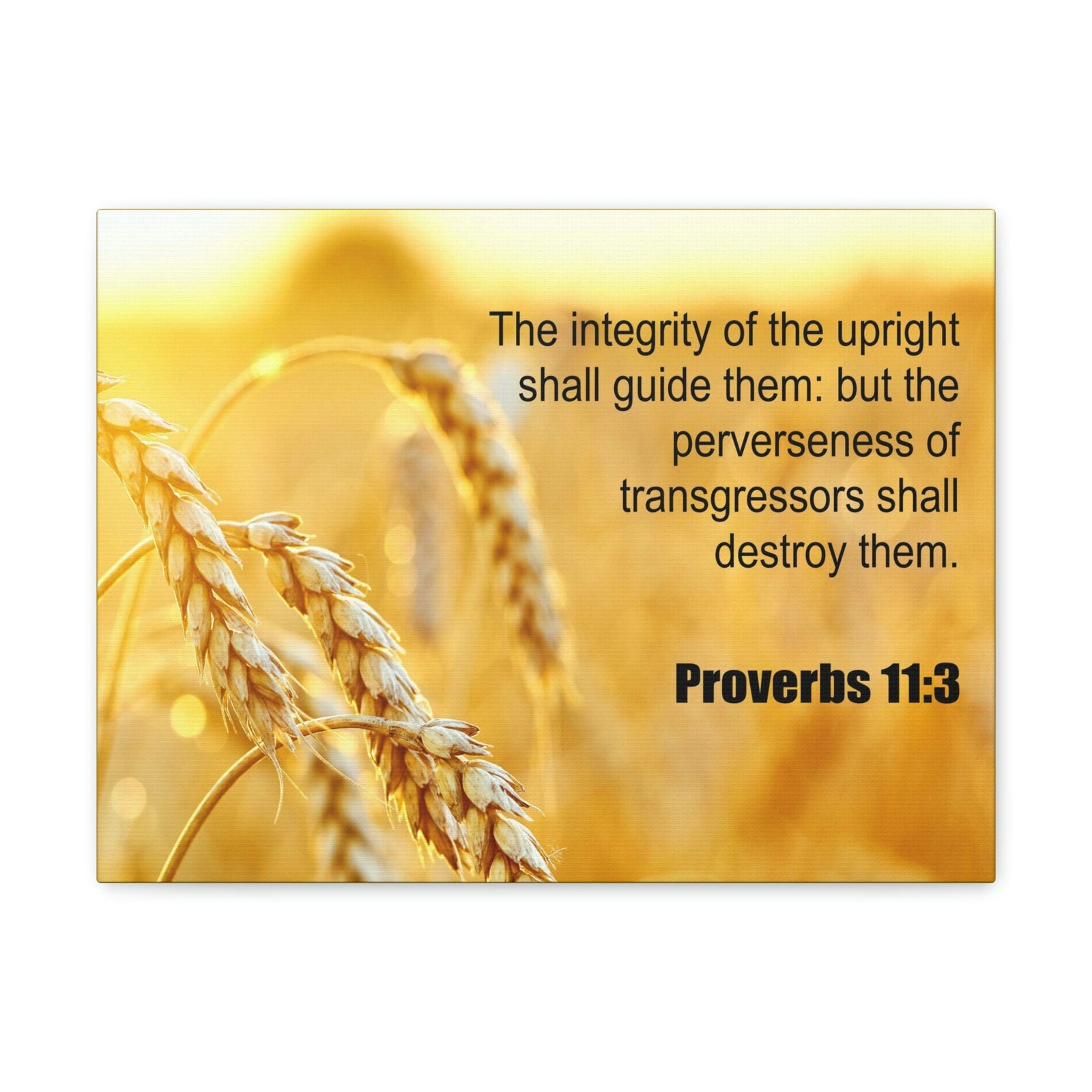 Scripture Walls The Integrity of The Upright Proverbs 11:3 Bible Verse Canvas Christian Wall Art Ready to Hang Unframed-Express Your Love Gifts