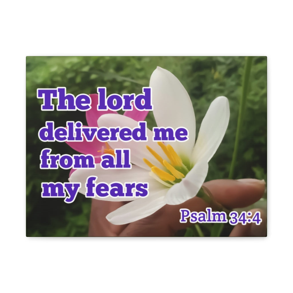 Scripture Walls The Lord Delivered Me Psalm 34:4 Bible Verse Canvas Christian Wall Art Ready to Hang Unframed-Express Your Love Gifts